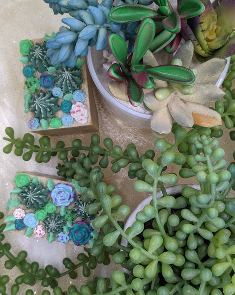 You Are Succulent Decorative Artisan Soap